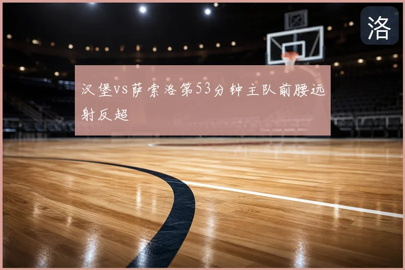 汉堡vs萨索洛第53分钟主队前腰远射反超